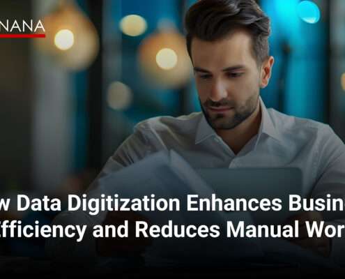 Data digitization services